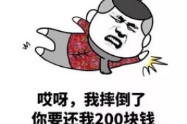 重庆合川要账公司：专业高效的债务回收服务